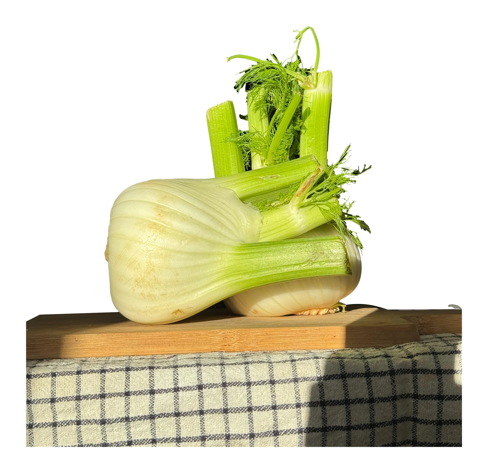 Édeskömény