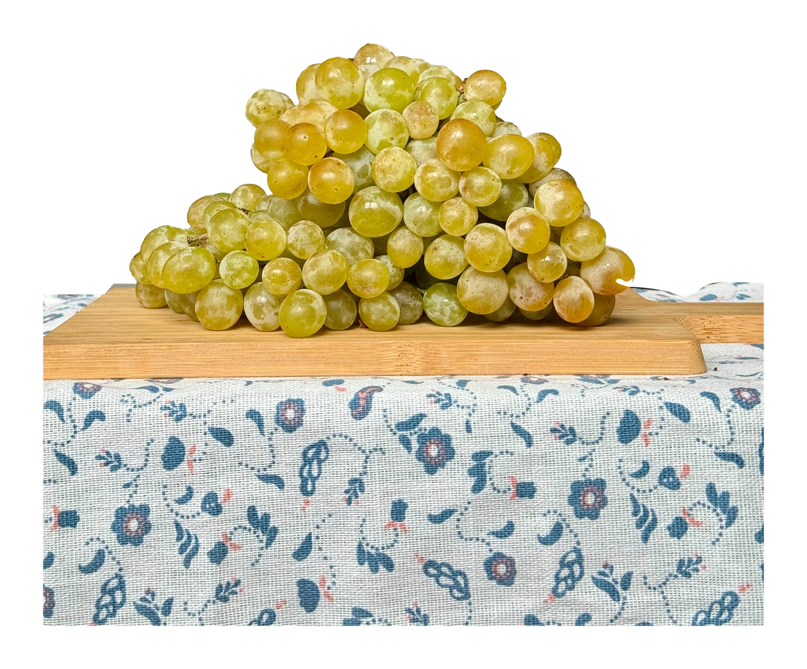 Sárga muskotály szőlő