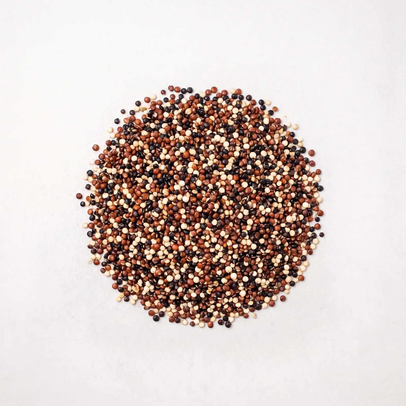 Quinoa