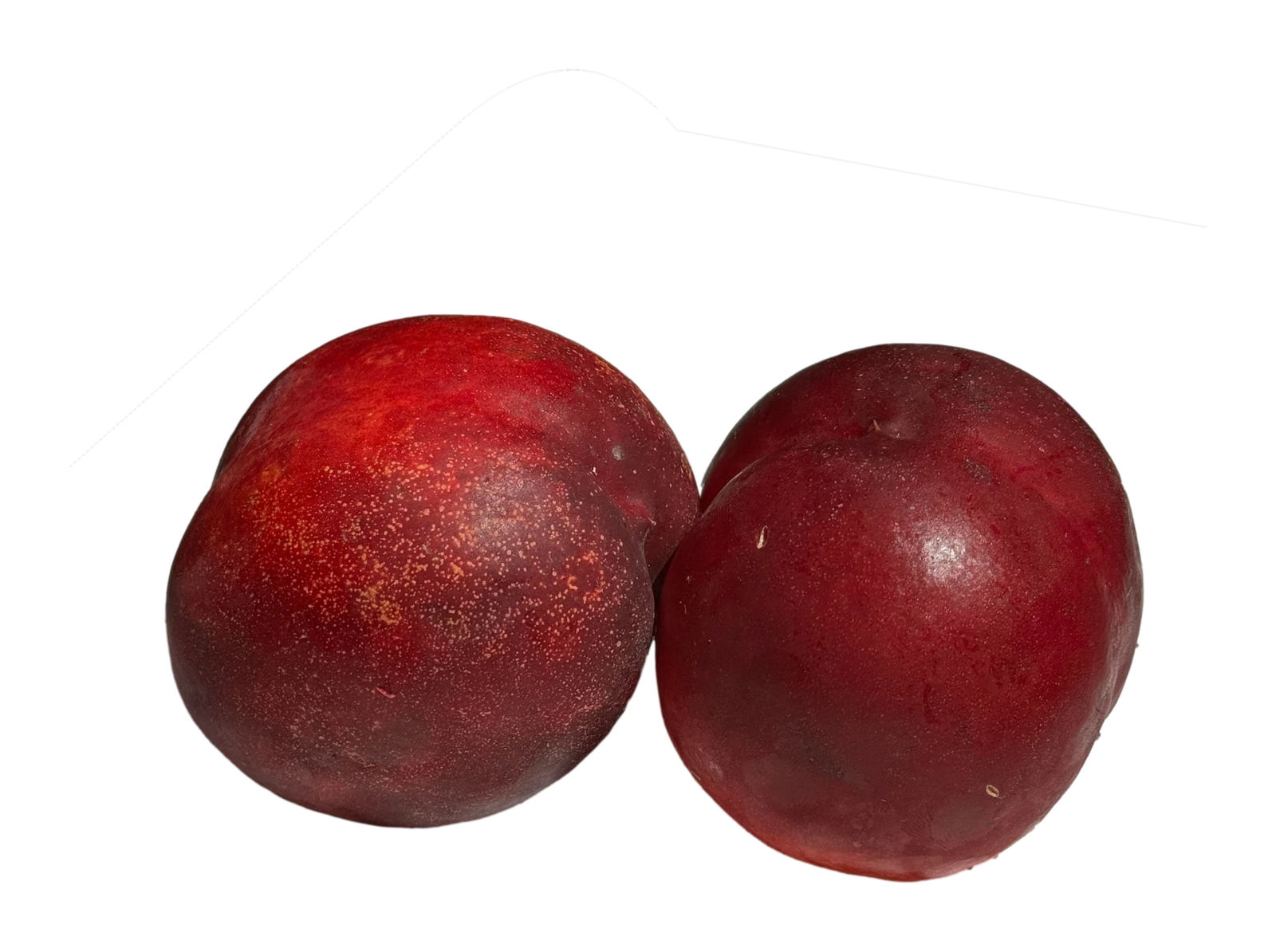Nektarin