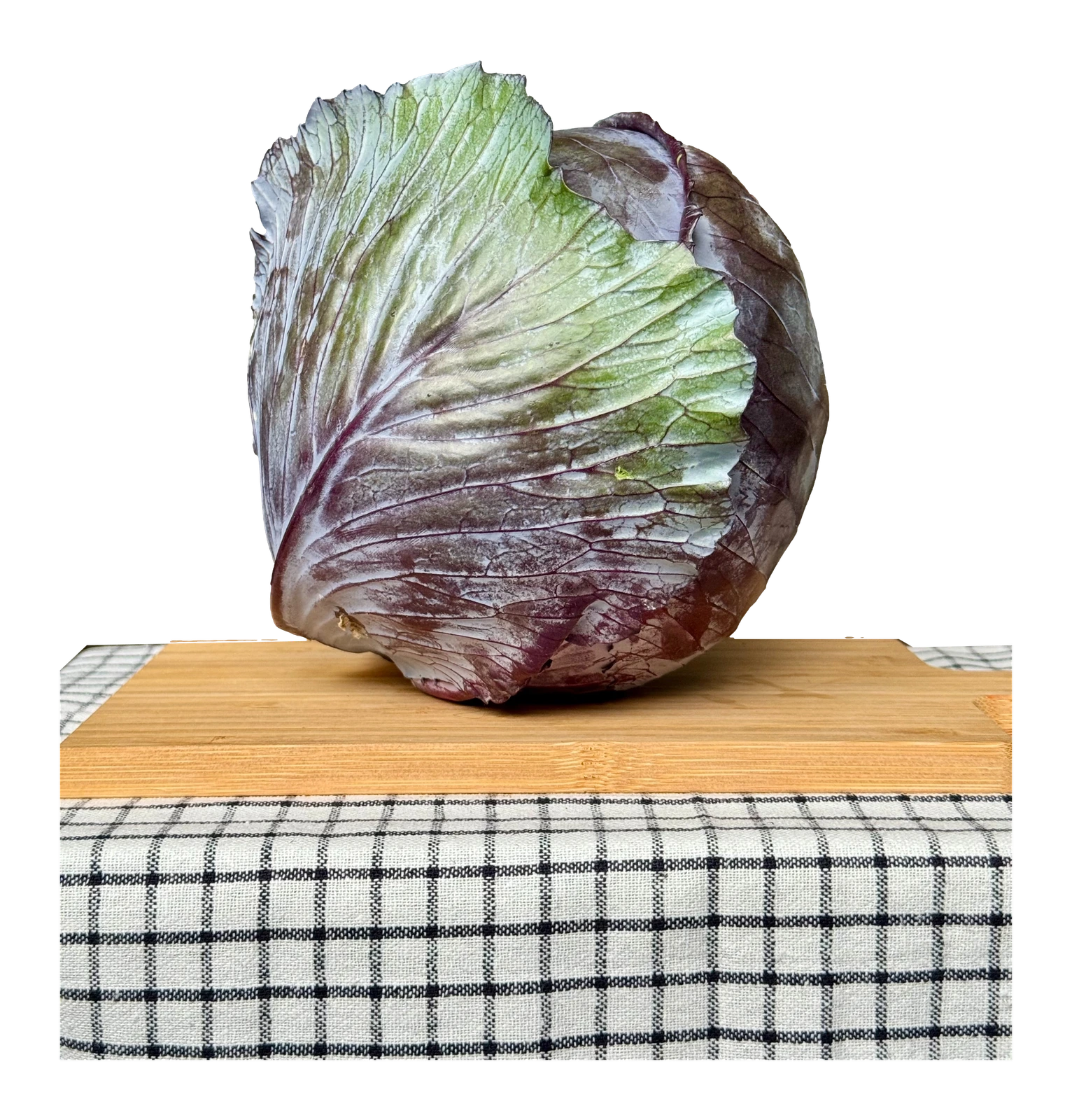 Lilakáposzta