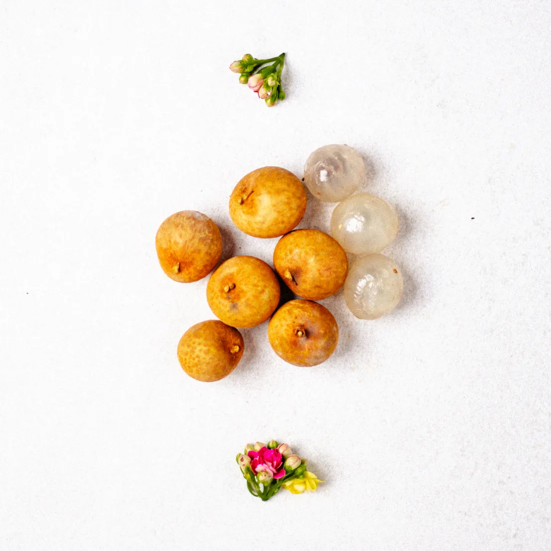 Longan