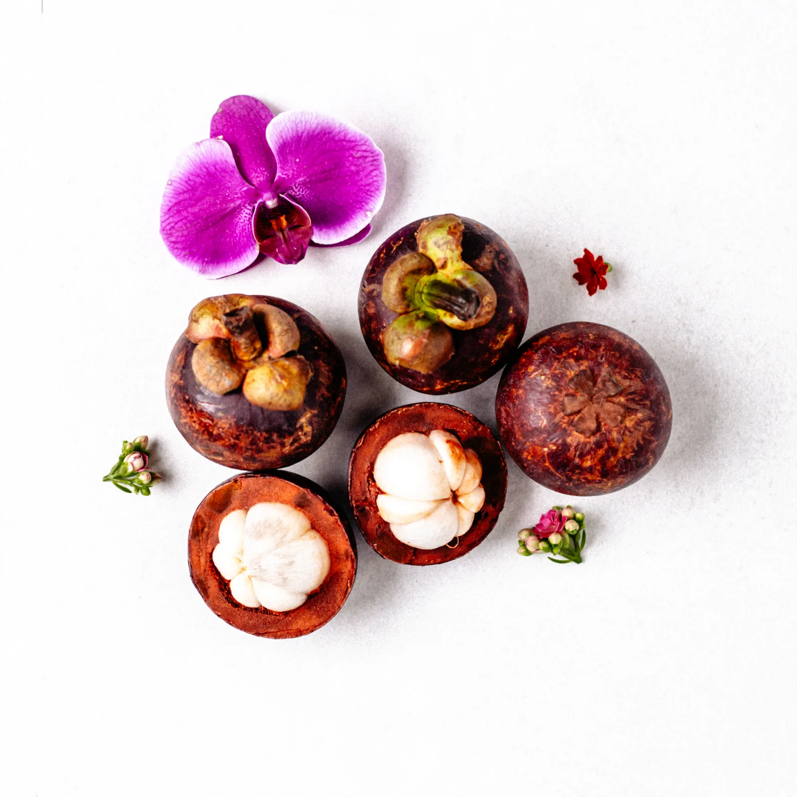 Mangosteen