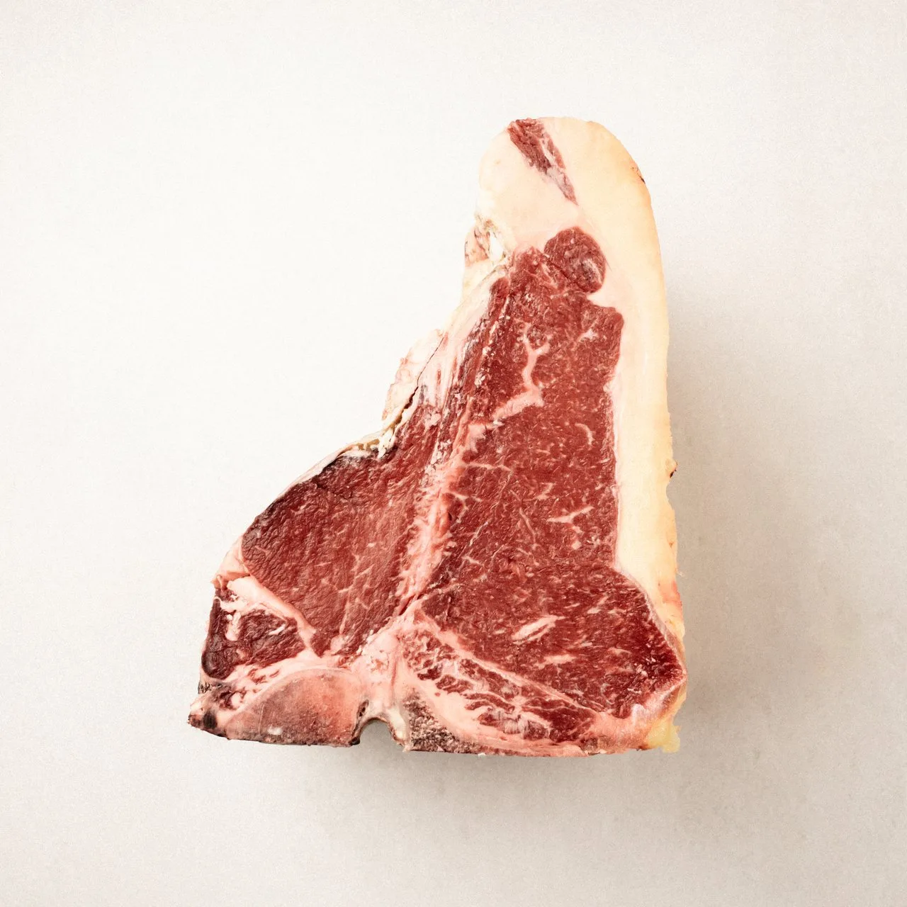Skót felföldi T-bone KYLOEH